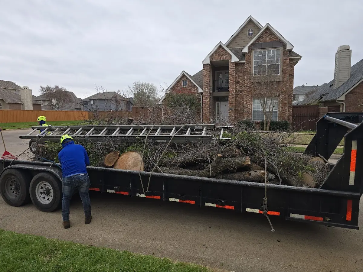 Expert Tree Fertilization with proper safety equipment in Stronghurst